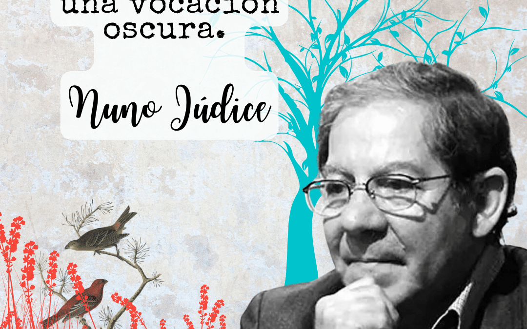 Nuno Júdice